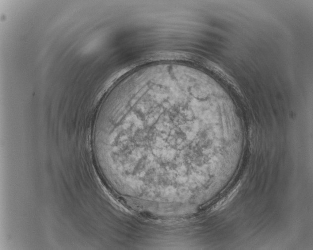 X0000068741033200605262045