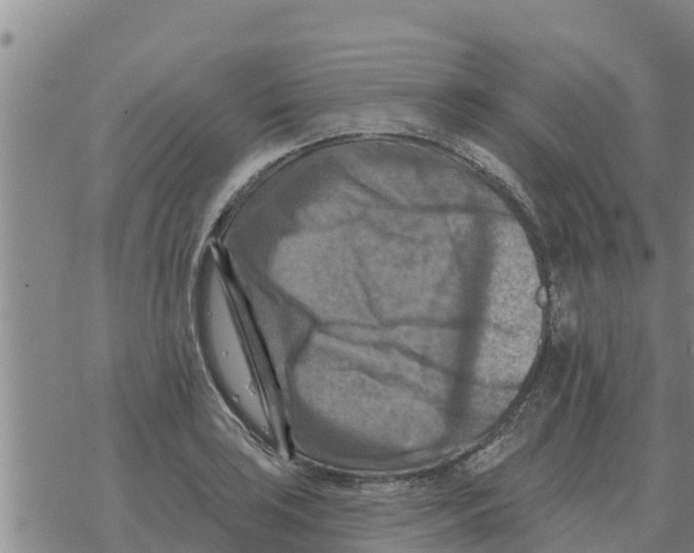 X0000068741035200605262045