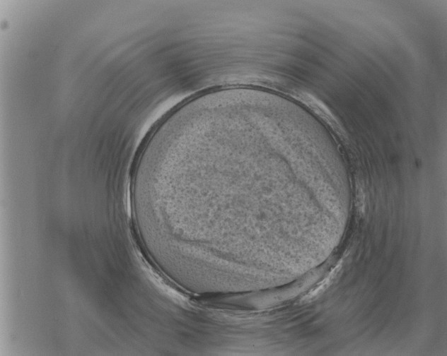 X0000068741036200605262045