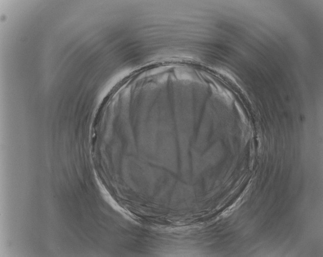 X0000068741038200605262046