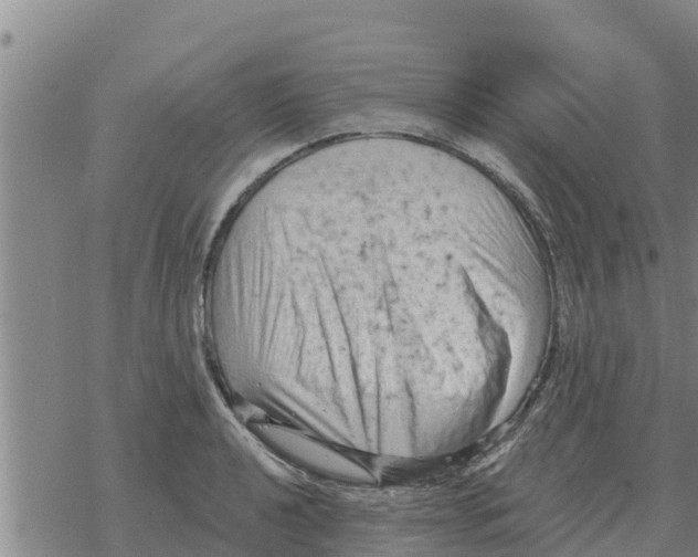 X0000068741040200605262046