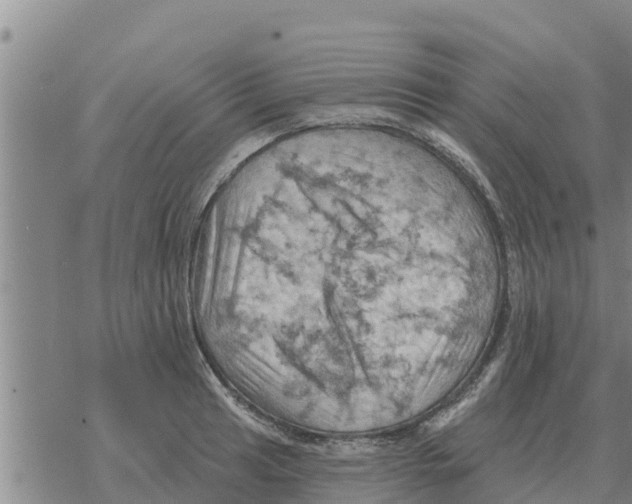 X0000068741041200605262046