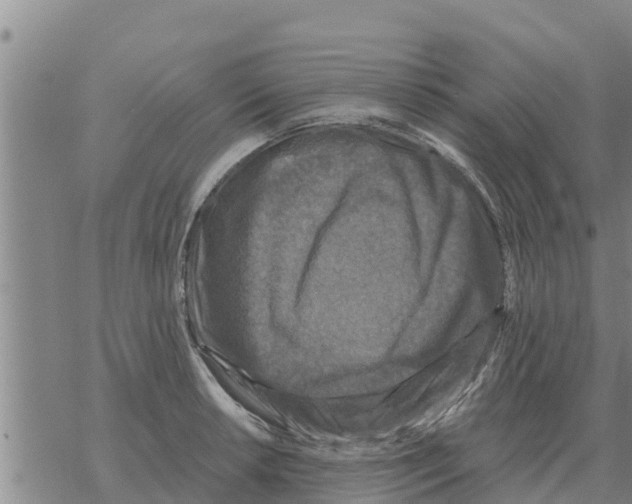 X0000068741042200605262046