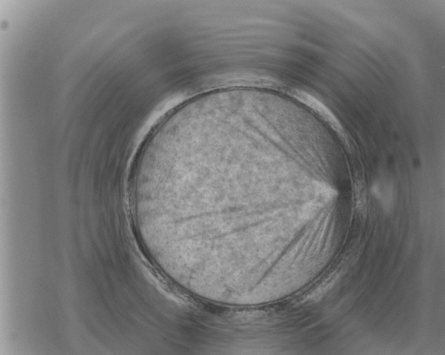 X0000068741043200605262046