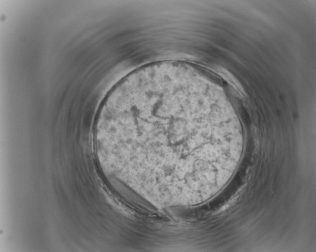 X0000068741044200605262046