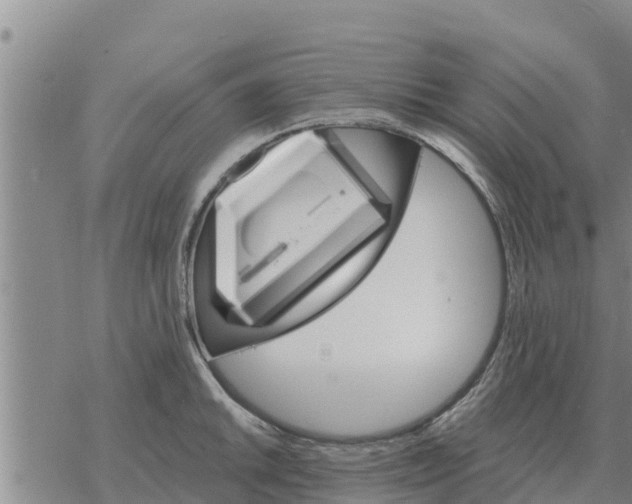 X0000068741046200605262046