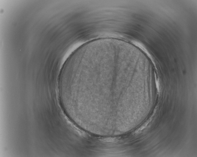 X0000068741048200605262046