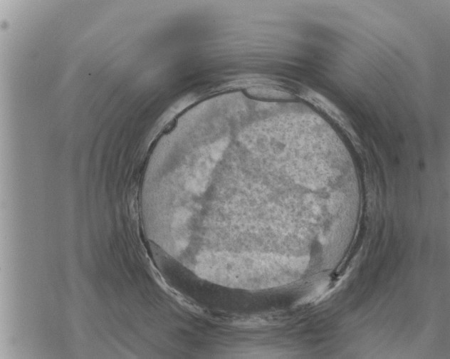 X0000068741049200605262046