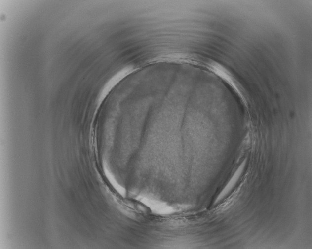 X0000068741050200605262046