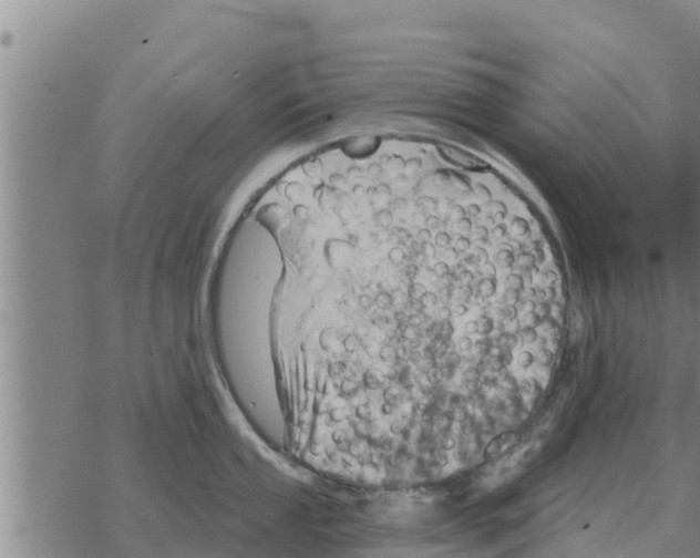 X0000068741053200605262046