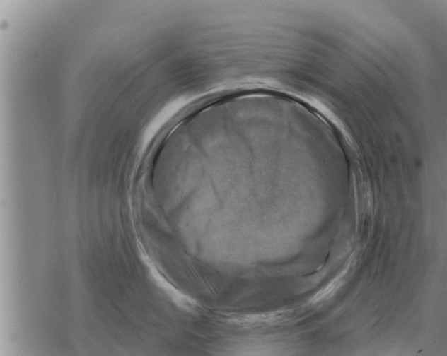 X0000068741054200605262046