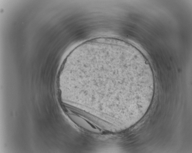 X0000068741056200605262046