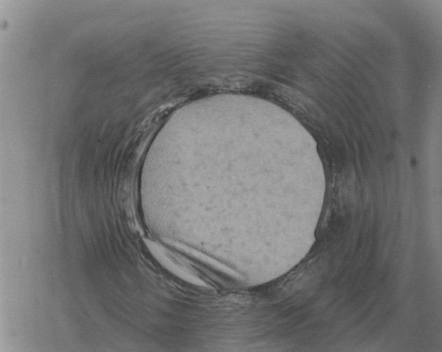 X0000068741058200605262045