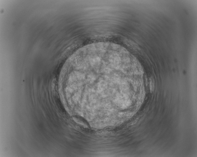 X0000068741059200605262045