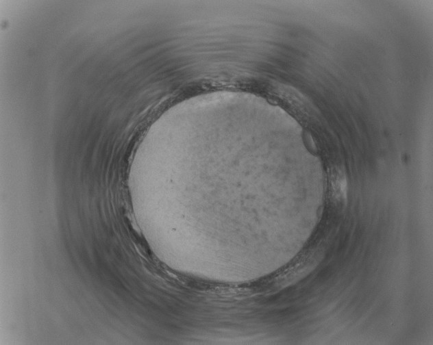 X0000068741060200605262045