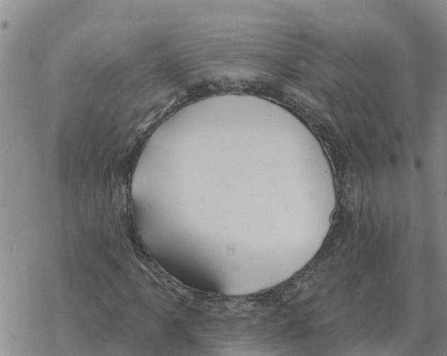 X0000068741061200605262045