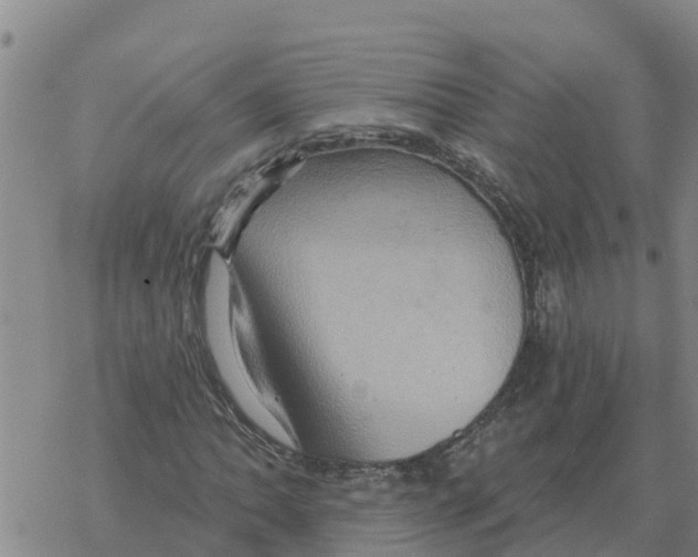 X0000068741062200605262045