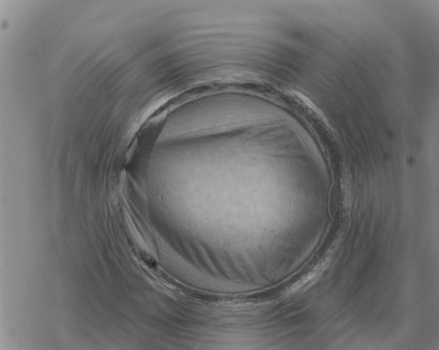 X0000068741065200605262045