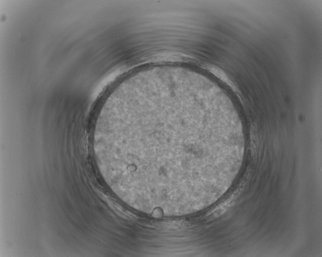 X0000068741067200605262045