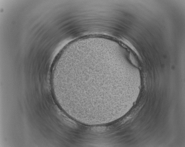 X0000068741068200605262045