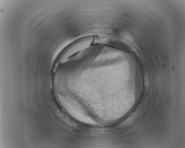 X0000068741069200605262045