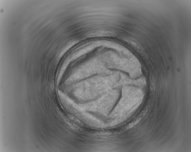 X0000068741073200605262045