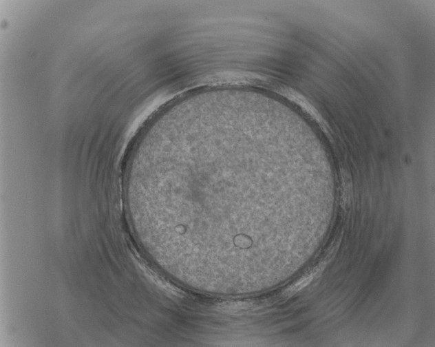 X0000068741075200605262045