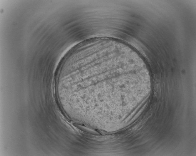 X0000068741076200605262045