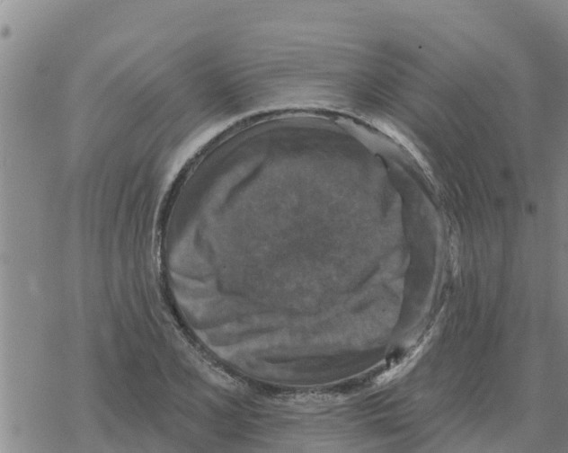 X0000068741077200605262045