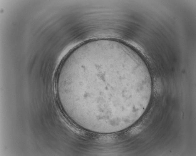 X0000068741078200605262045