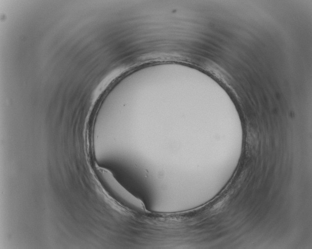 X0000068741082200605262045