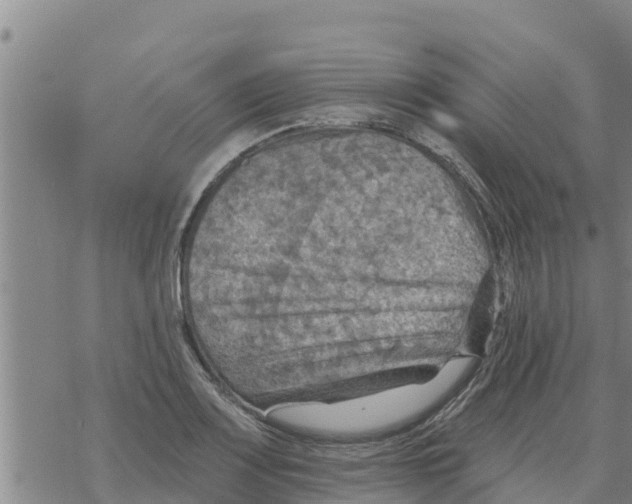 X0000068741083200605262045