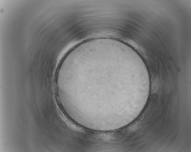 X0000068741086200605262045