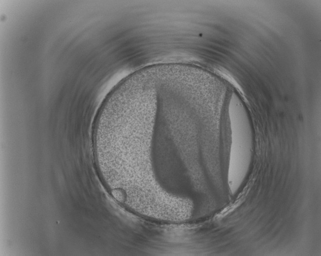 X0000068741087200605262045