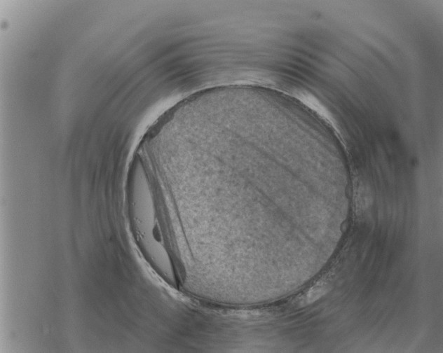 X0000068741088200605262045