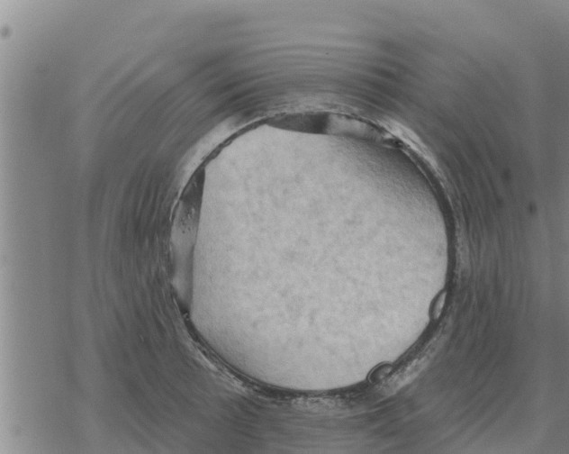 X0000068741089200605262045