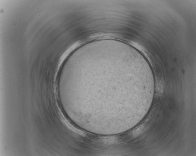 X0000068741090200605262044