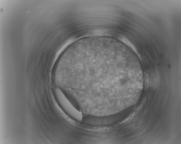 X0000068741091200605262044