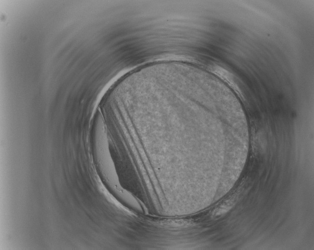 X0000068741092200605262044