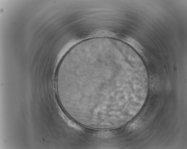 X0000068741094200605262044