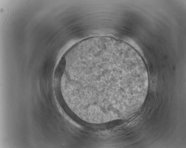 X0000068741096200605262044