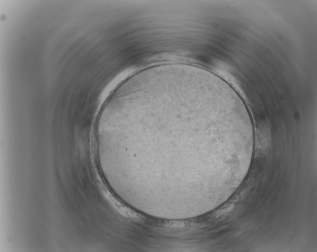 X0000068741098200605262044