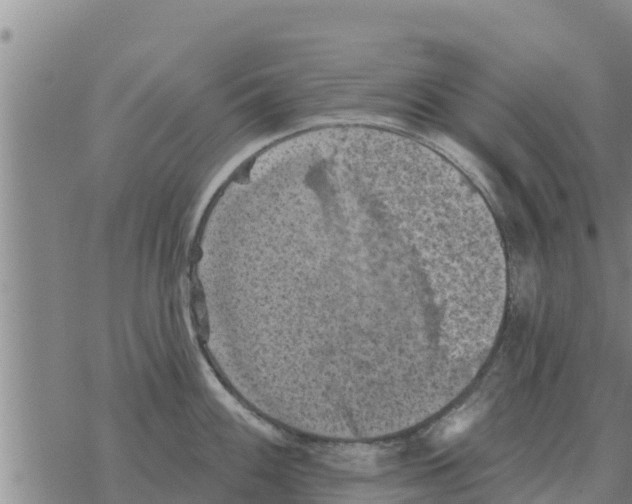 X0000068741100200605262044