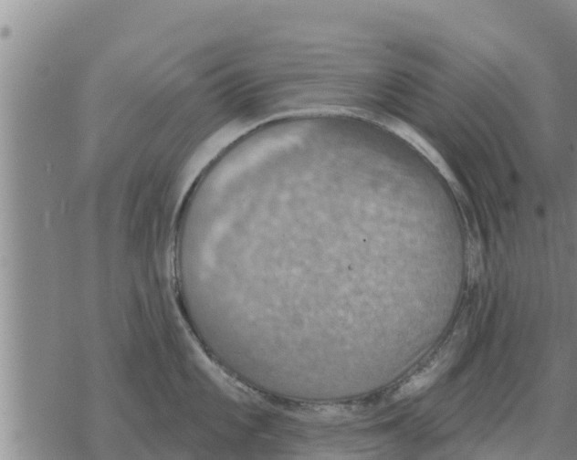 X0000068741101200605262044