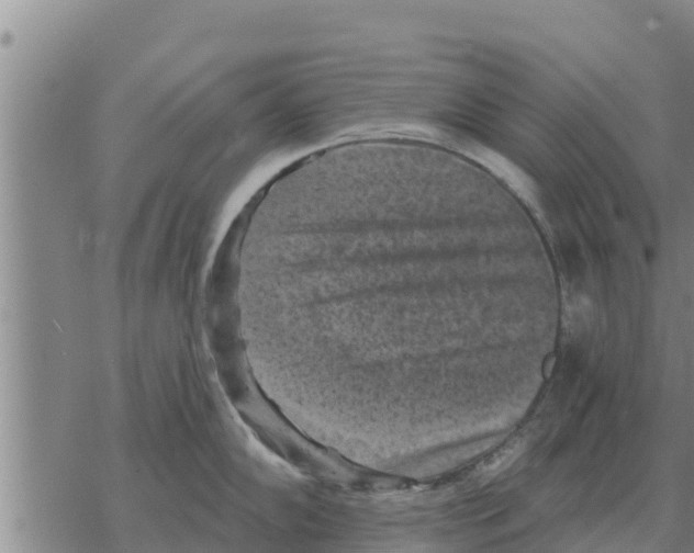 X0000068741102200605262044