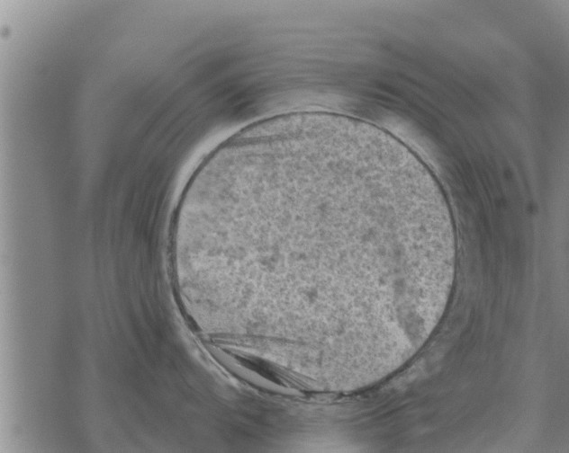 X0000068741104200605262044