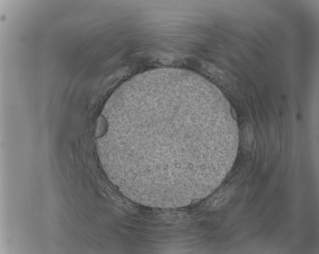 X0000068741105200605262044