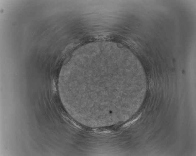 X0000068741106200605262044