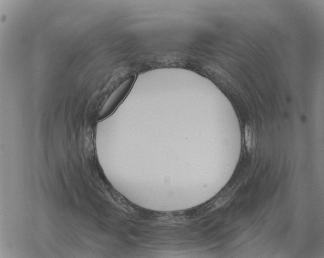 X0000068741107200605262044