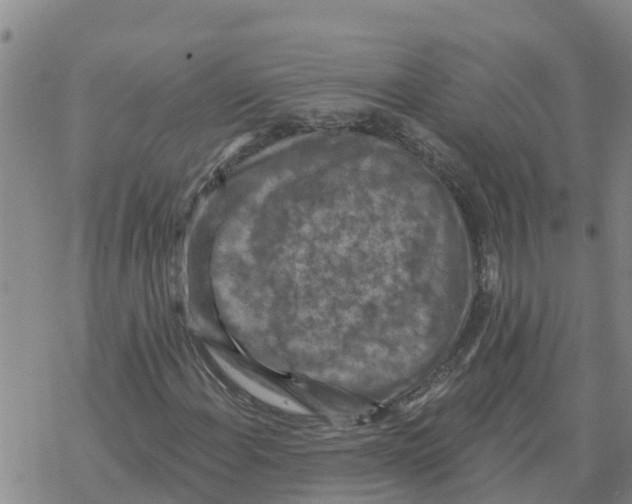 X0000068741108200605262044